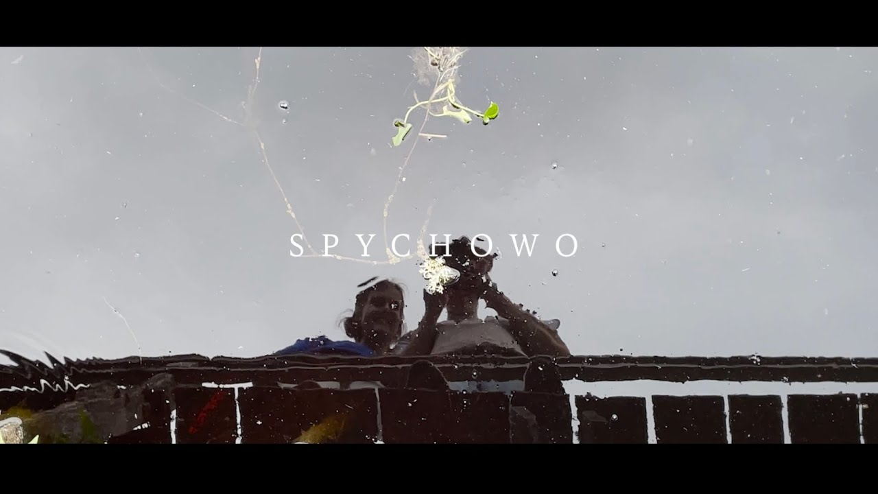 Spychowo
