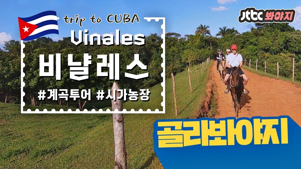 [골라봐야지][HD] ⑵쿠바_비냘레스 편(Cuba_Vinales), 류준열의 비밀스러운 계곡 투어 #트래블러 #JTBC봐야지
