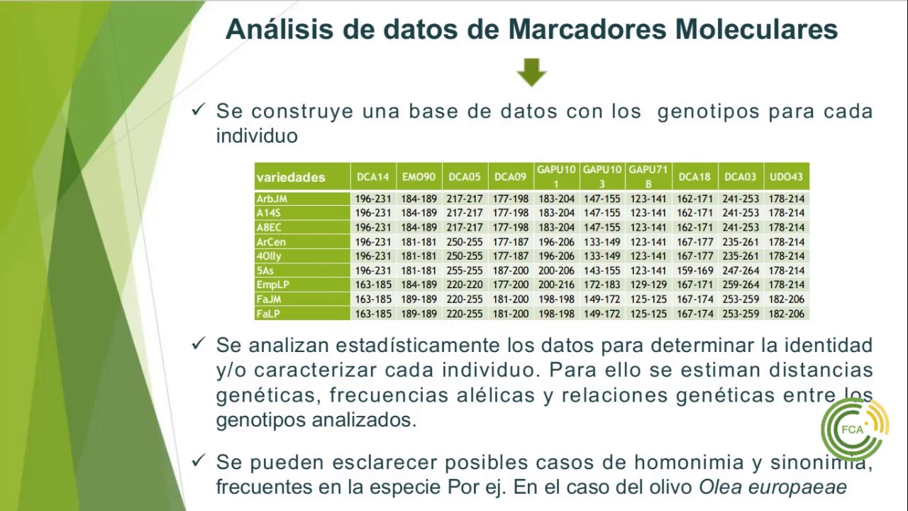 Marcadores Genéticos: Análisis de datos - Selección asistida por marcadores