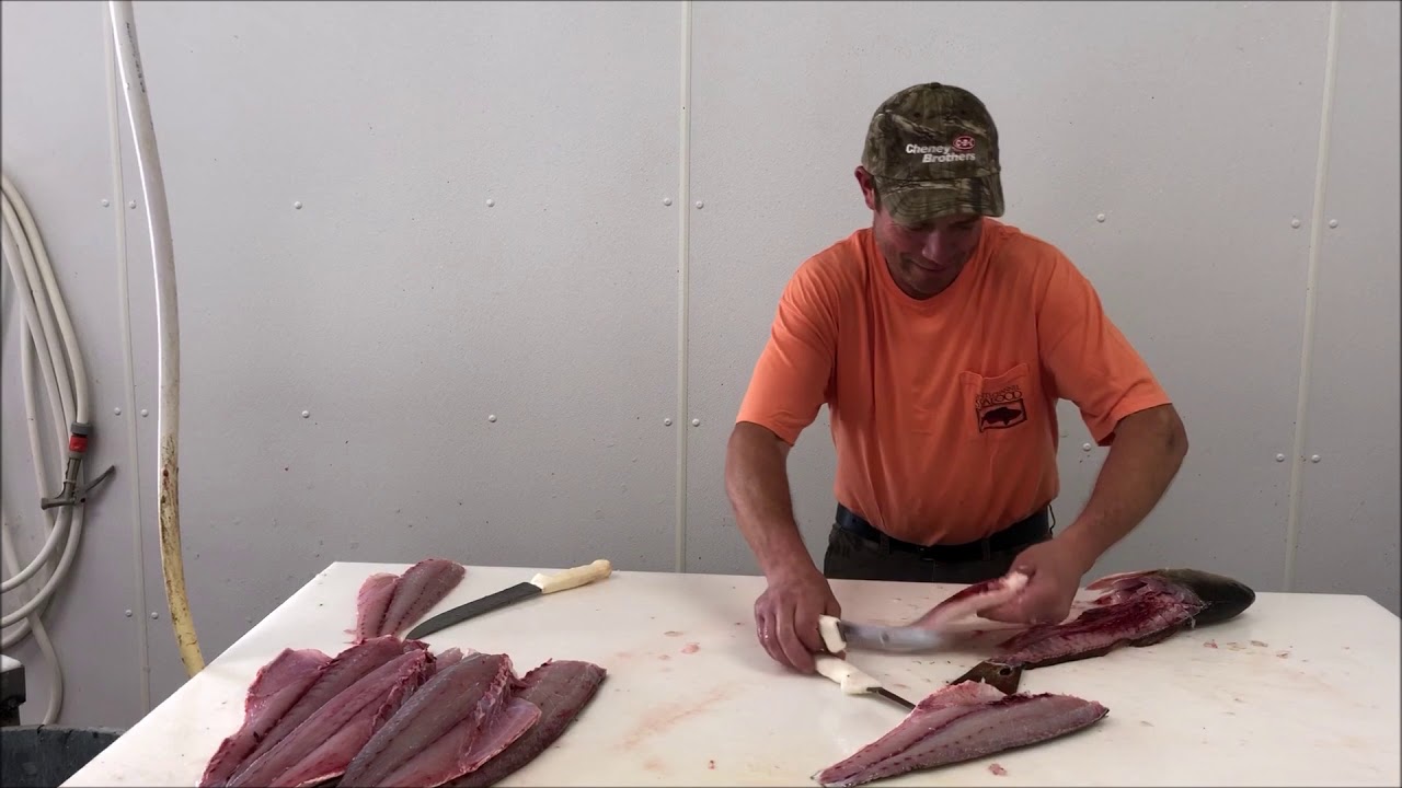 Easy Steps To Cleaning a Redfish