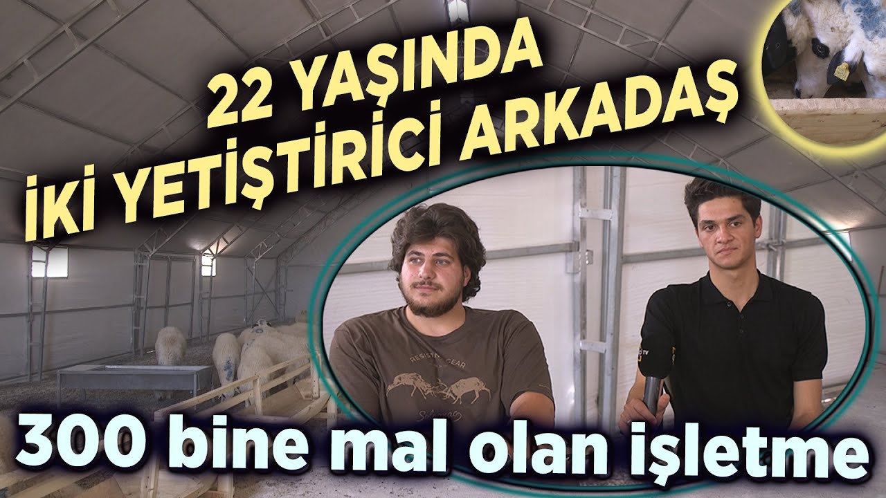 22 Yaşında İki Yetiştirici Arkadaş / 300 Bine Mal Olan İşletme - Çobanın Sesi