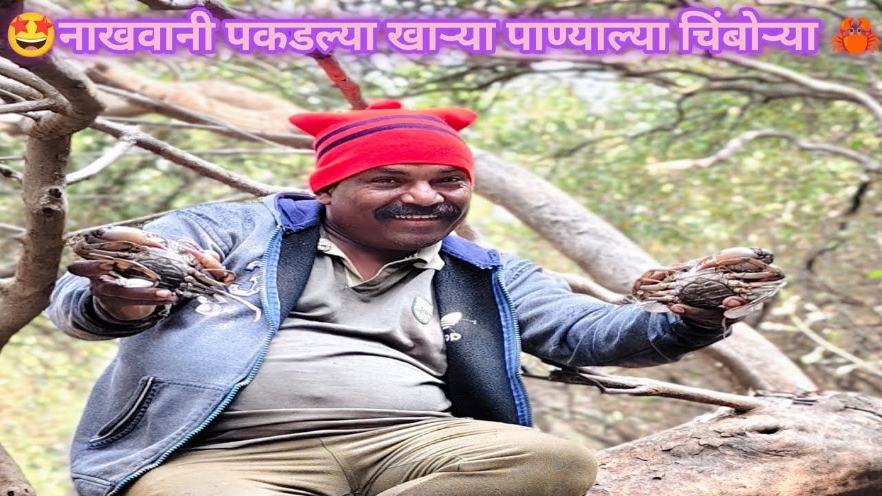 🤩नाखवानी पकडल्या खाऱ्या पाण्याल्या चिंबोऱ्या🦀#कोळी #rivercrab #seafood #indian #trending#food#viral 
