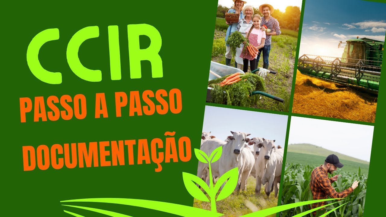 Passo a passo para fazer seu CCIR