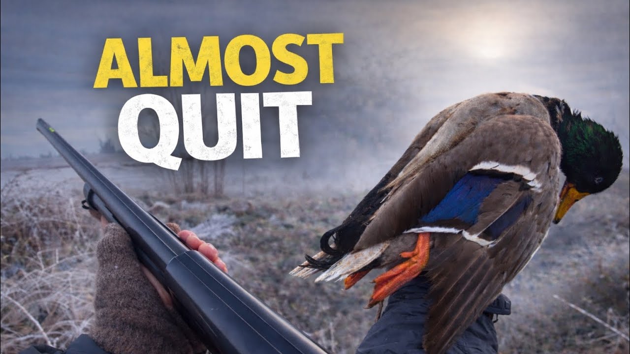 My First Duck Hunt | Feathers in the Fog Part 1
