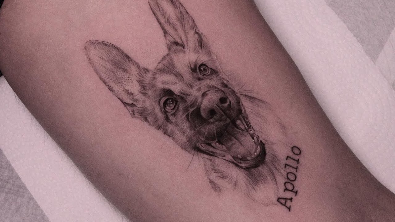 Tatuando cachorro realista
