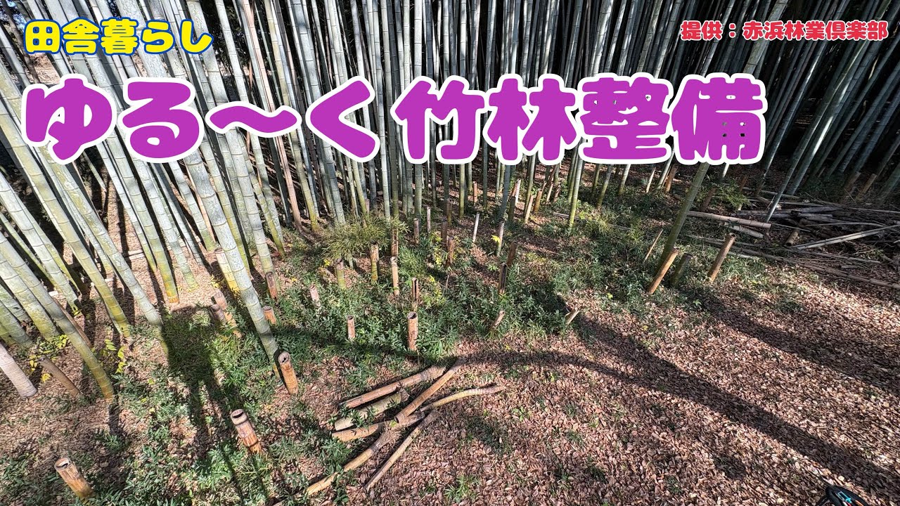 【田舎暮らし】ゆる〜く竹林整備　提供：赤浜林業倶楽部
