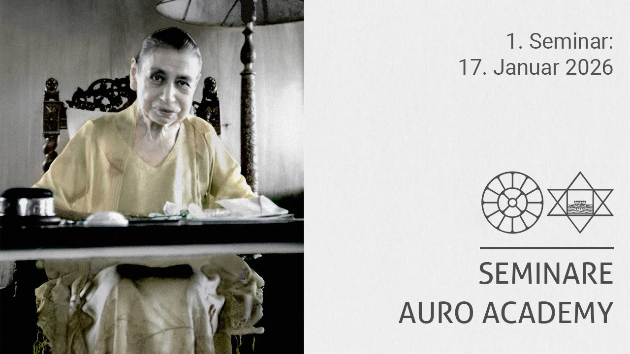 AURO ACADEMY (1. Seminar)