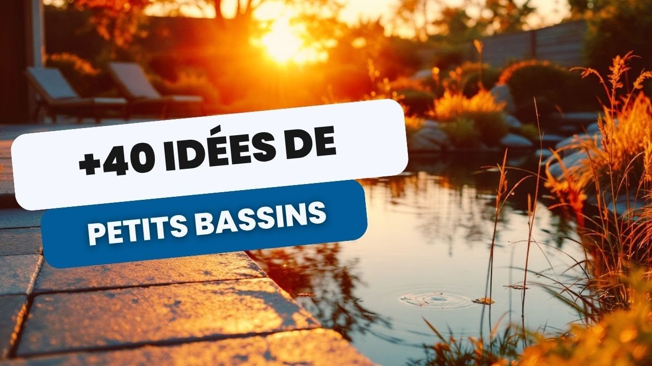40 idées de petits bassins pour transformer votre jardin
