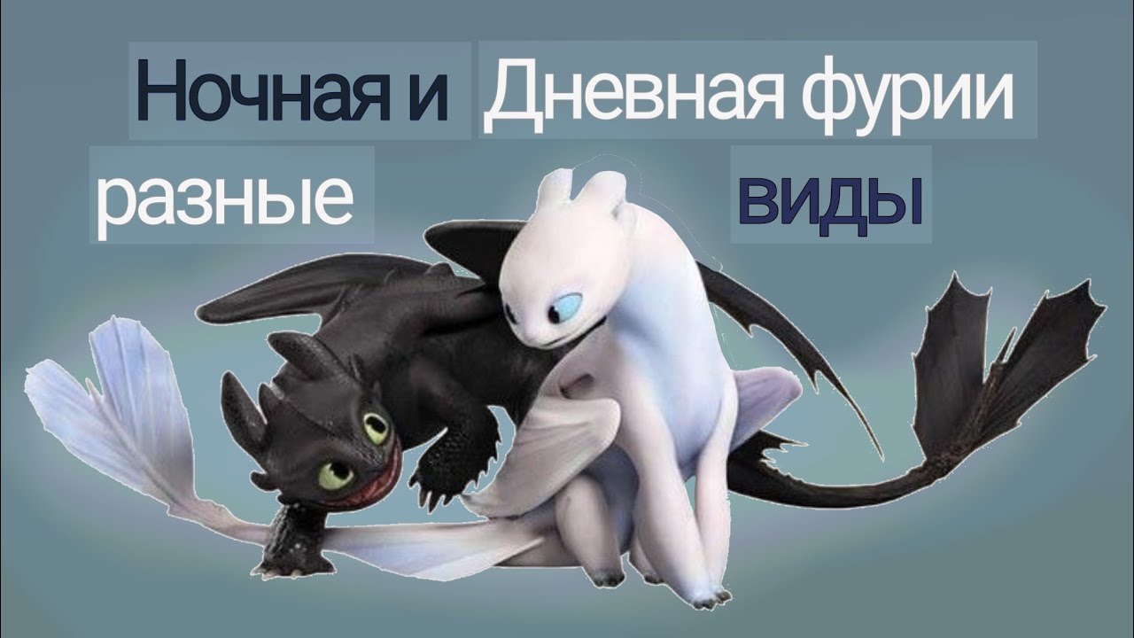 Ночная и Дневная фурии - разные виды