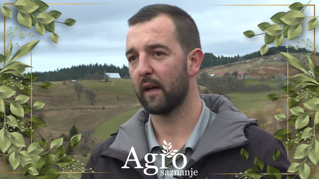 AGROSAZNANJE - Stefan s Kovrena drži anguse
