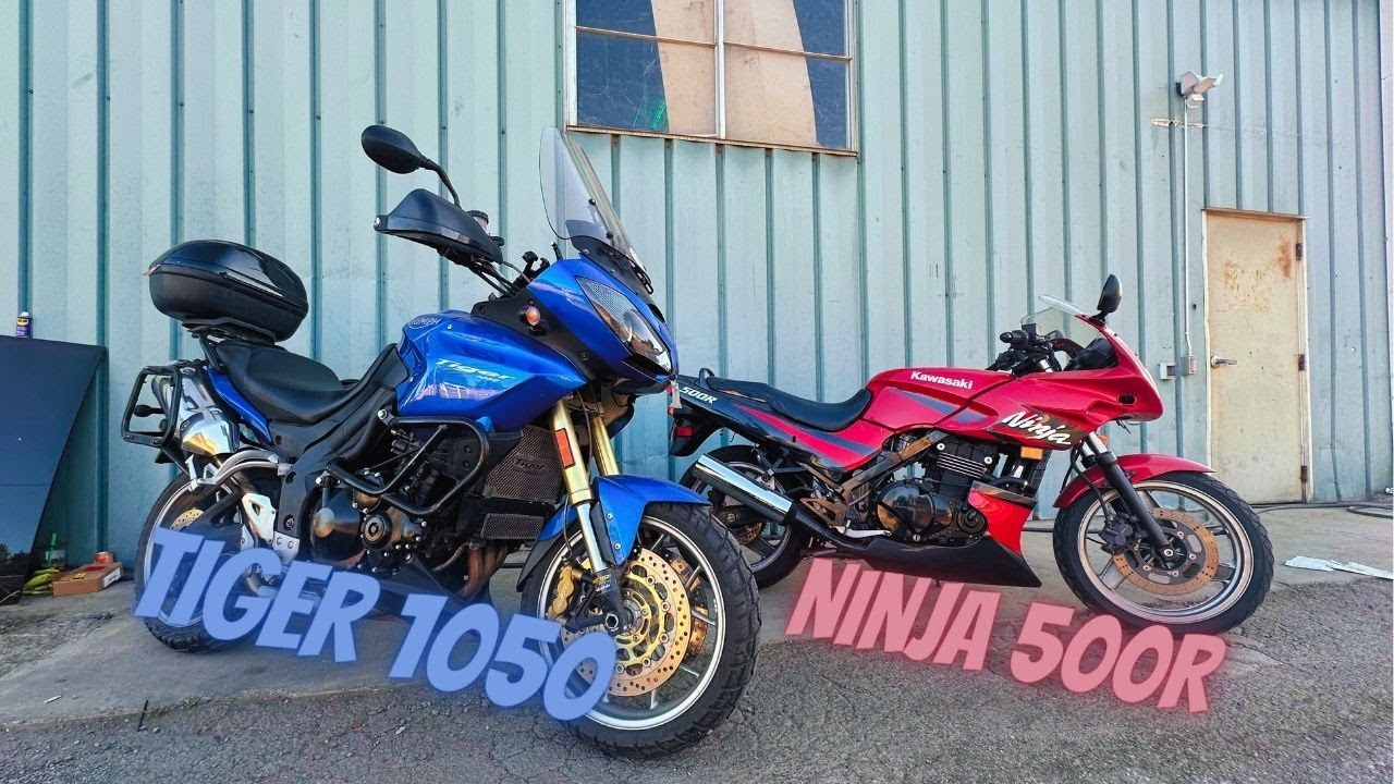 Triump Tiger and Kawasaki Ninja Added to the Collection