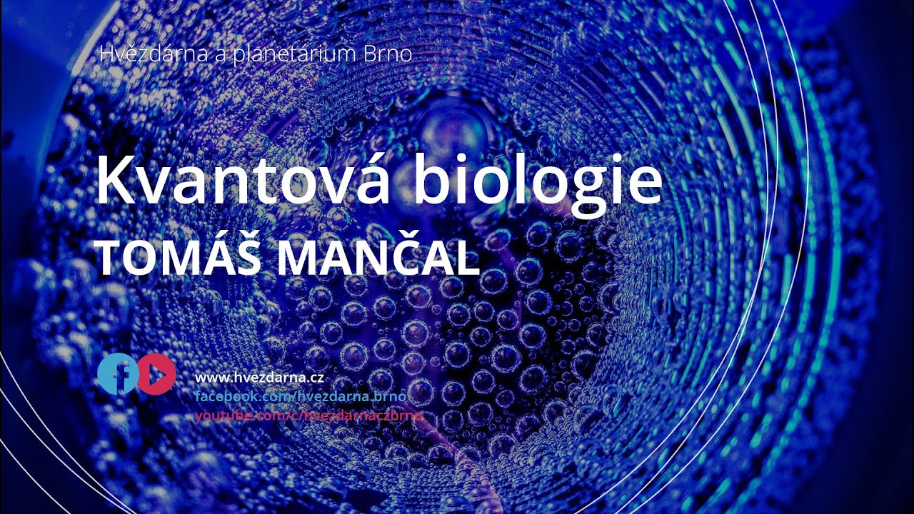 Tomáš Mančal, Kvantová biologie