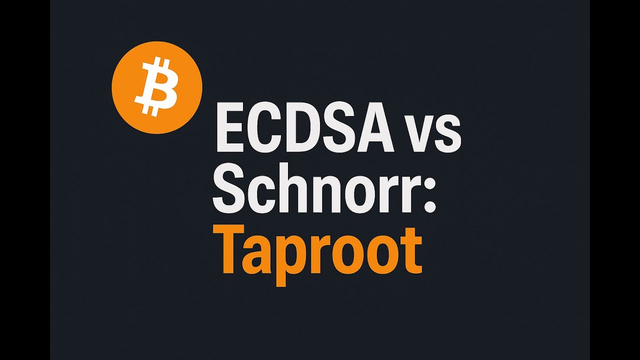 Bitcoin Taproot Explained: How the Latest Upgrade Changes Scripts