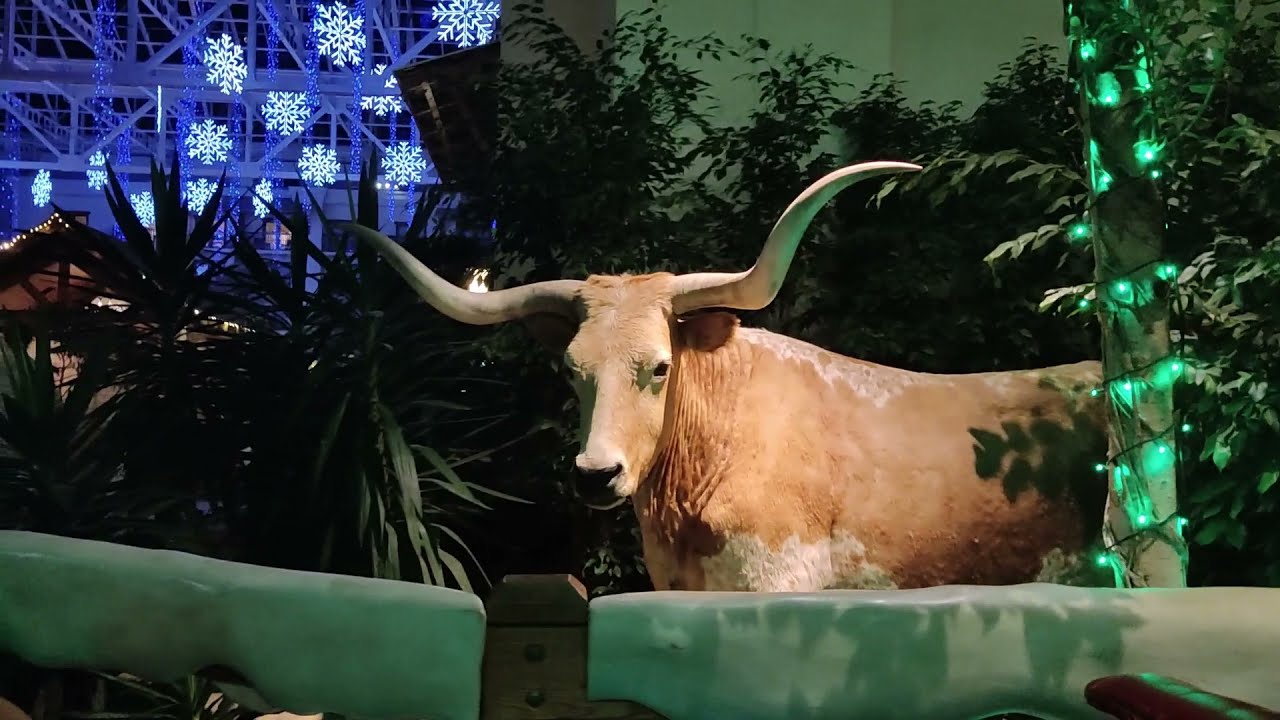 GAYLORD TEXAN RESORT & Convention Center, Christmas Lights show, Grapevine TX