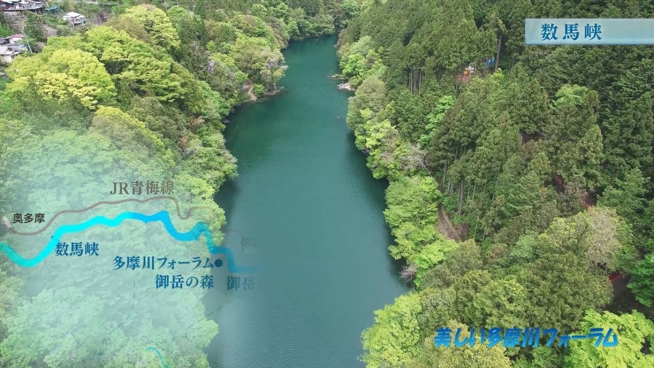 【絶景！】ドローンによる多摩川１３８キロの桜旅
