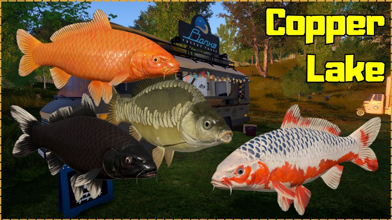 KOI CAPR SPOT Copper Lake (143) | Russian Fishing 4 RF4