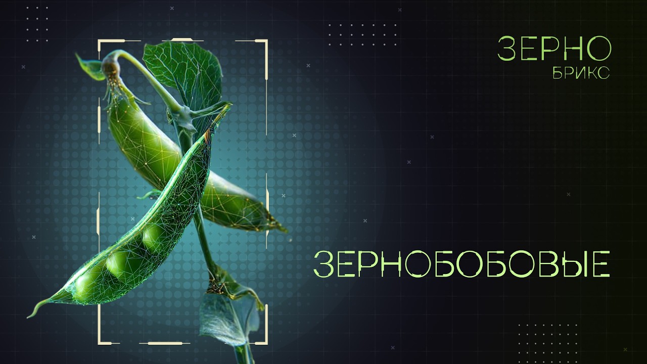 Зерно БРИКС. Зернобобовые