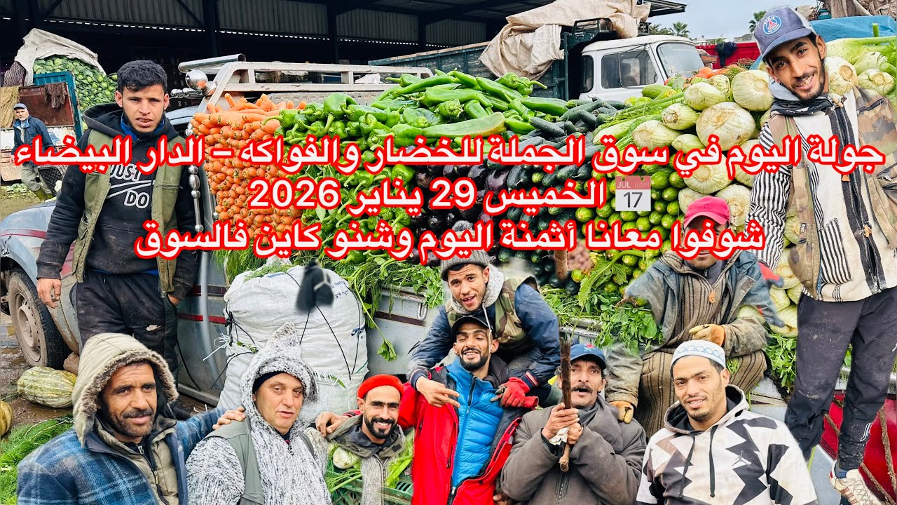 جولة اليوم في سوق الجملة للخضار والفواكه – الدار البيضاء📅 الخميس 29 يناير 2026شوفوا معانا أثمنة 