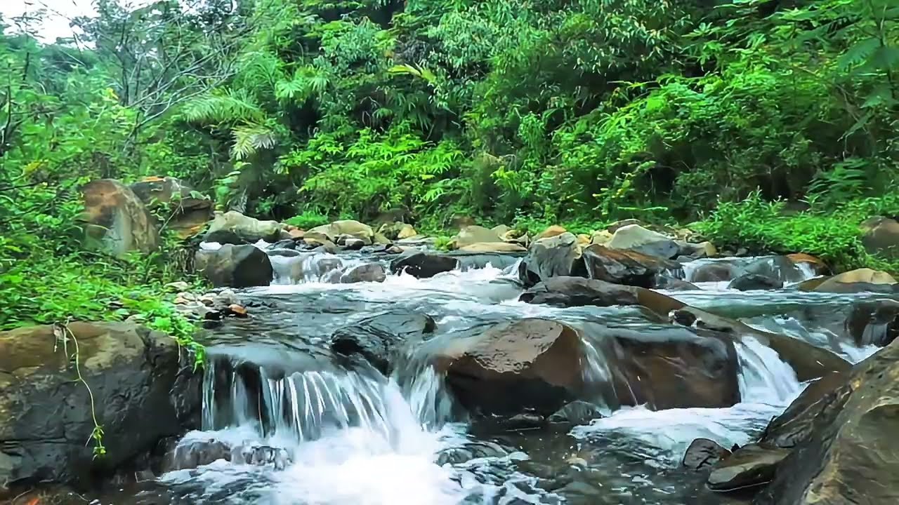 Fall Asleep in Minutes with This Calming River Sound   ASMR