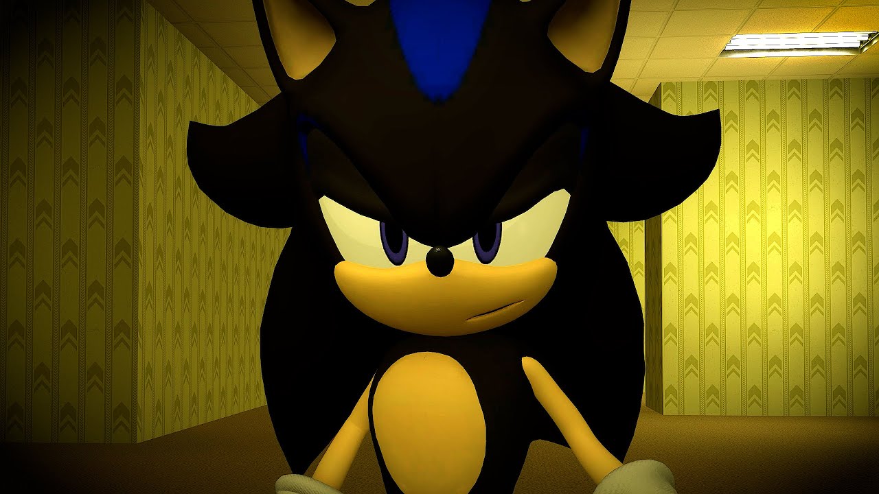 Seelkadoom The Hedgehog