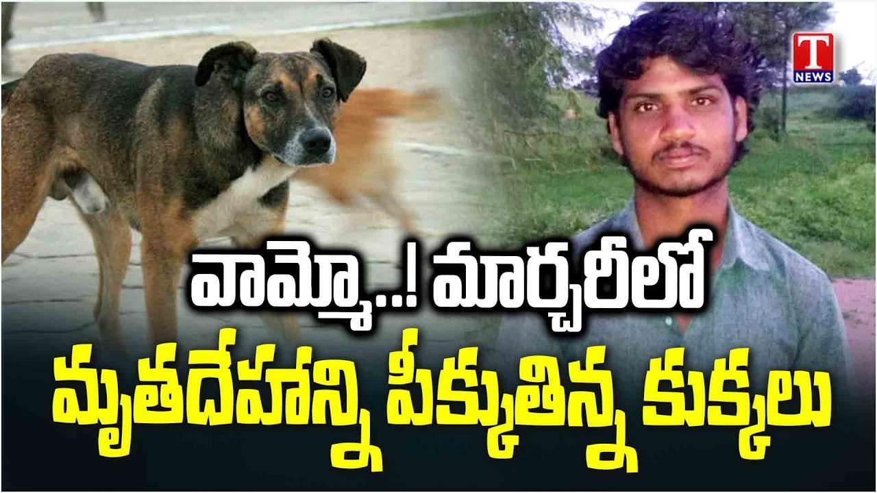 ఇది ఆసుపత్రేనా..?.. శవాన్ని పీక్కుతిన్న కుక్కలు.. Jadcherla Govt Hospital Mortuary Issue | T News