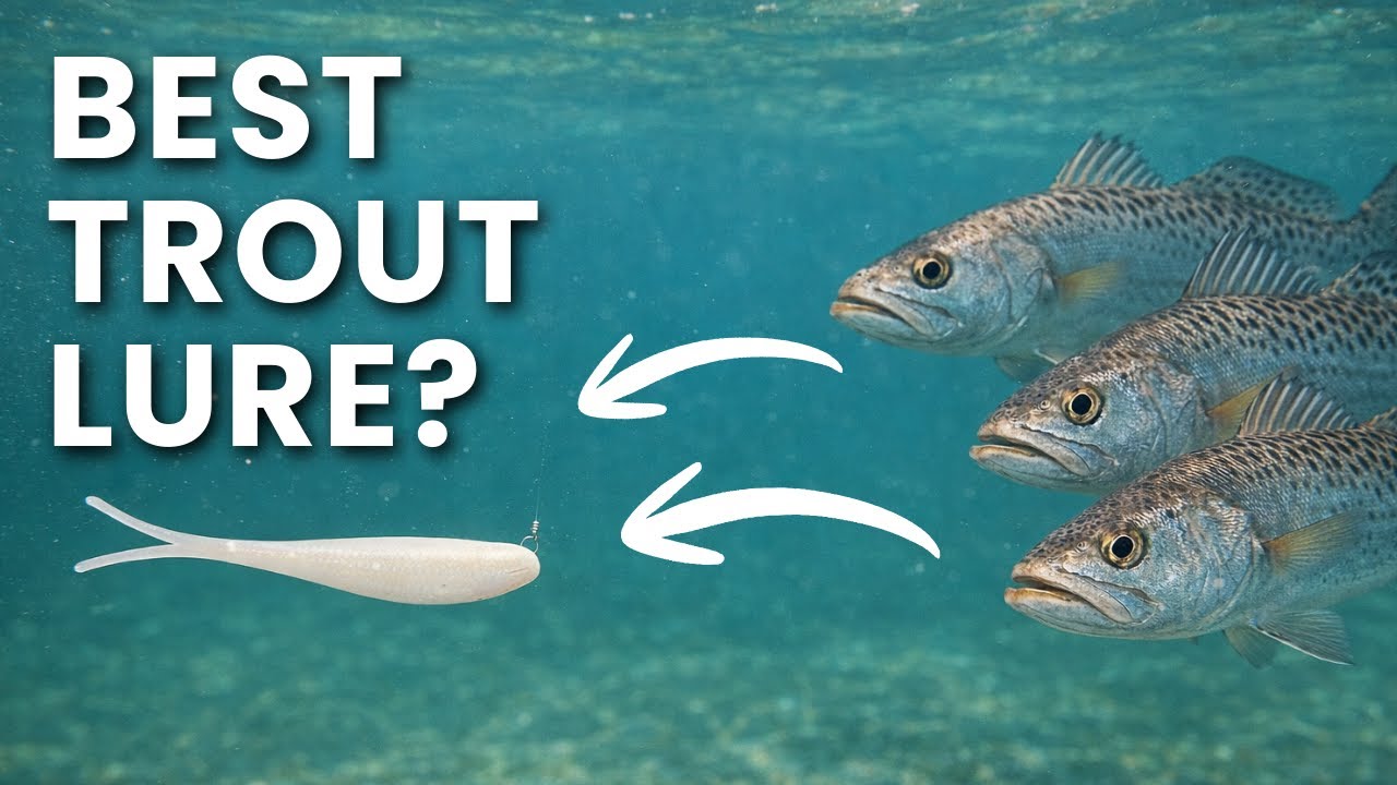 Trout Fishing With One Lure — They Couldn’t Resist!