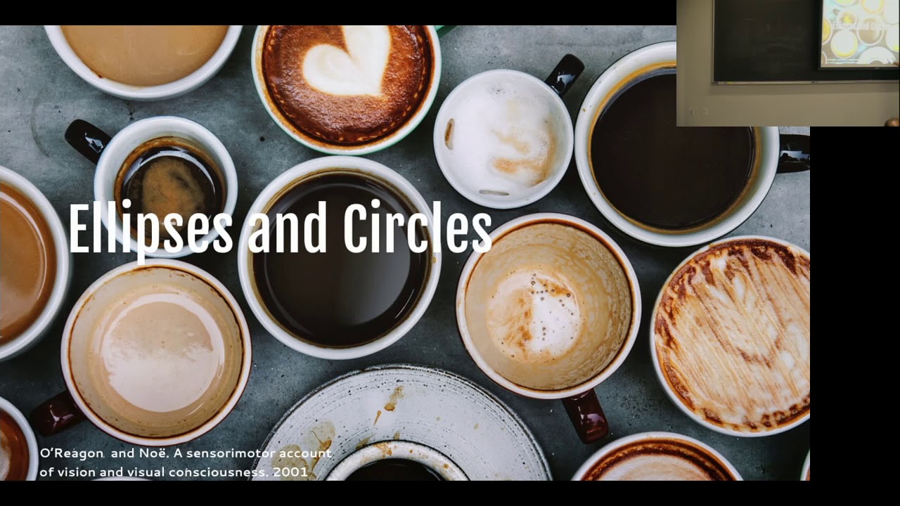 On perceptual representations and how they interact with actions and physical representations