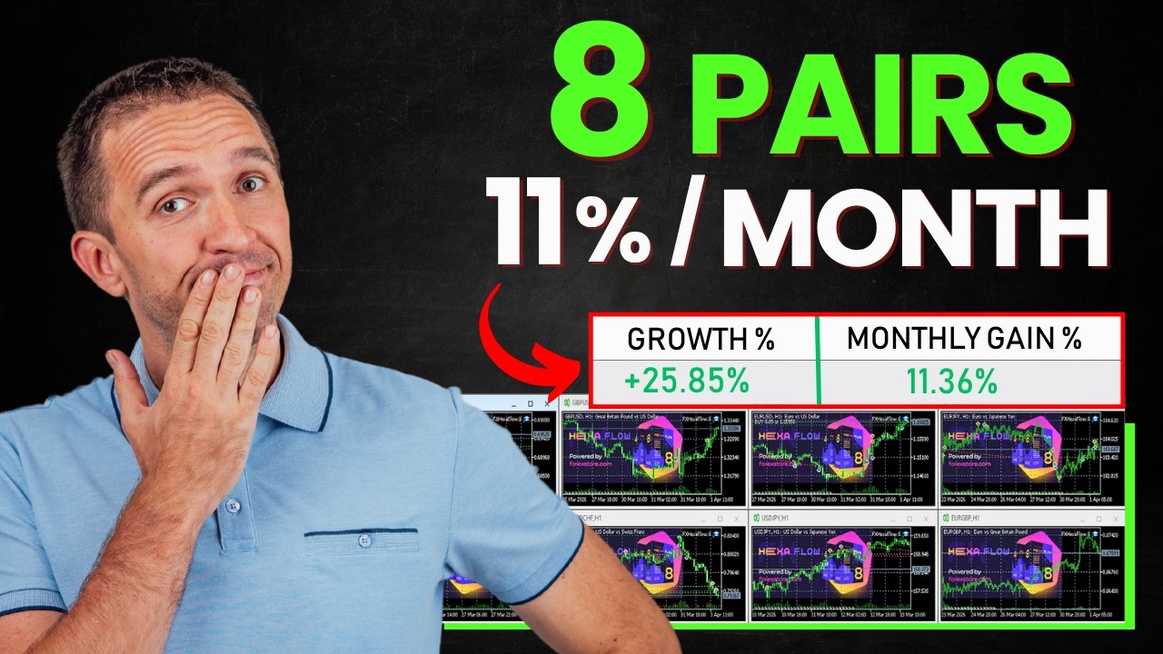 1 EA for Many Assets: +10% a Month // Hexa Flow EA Review