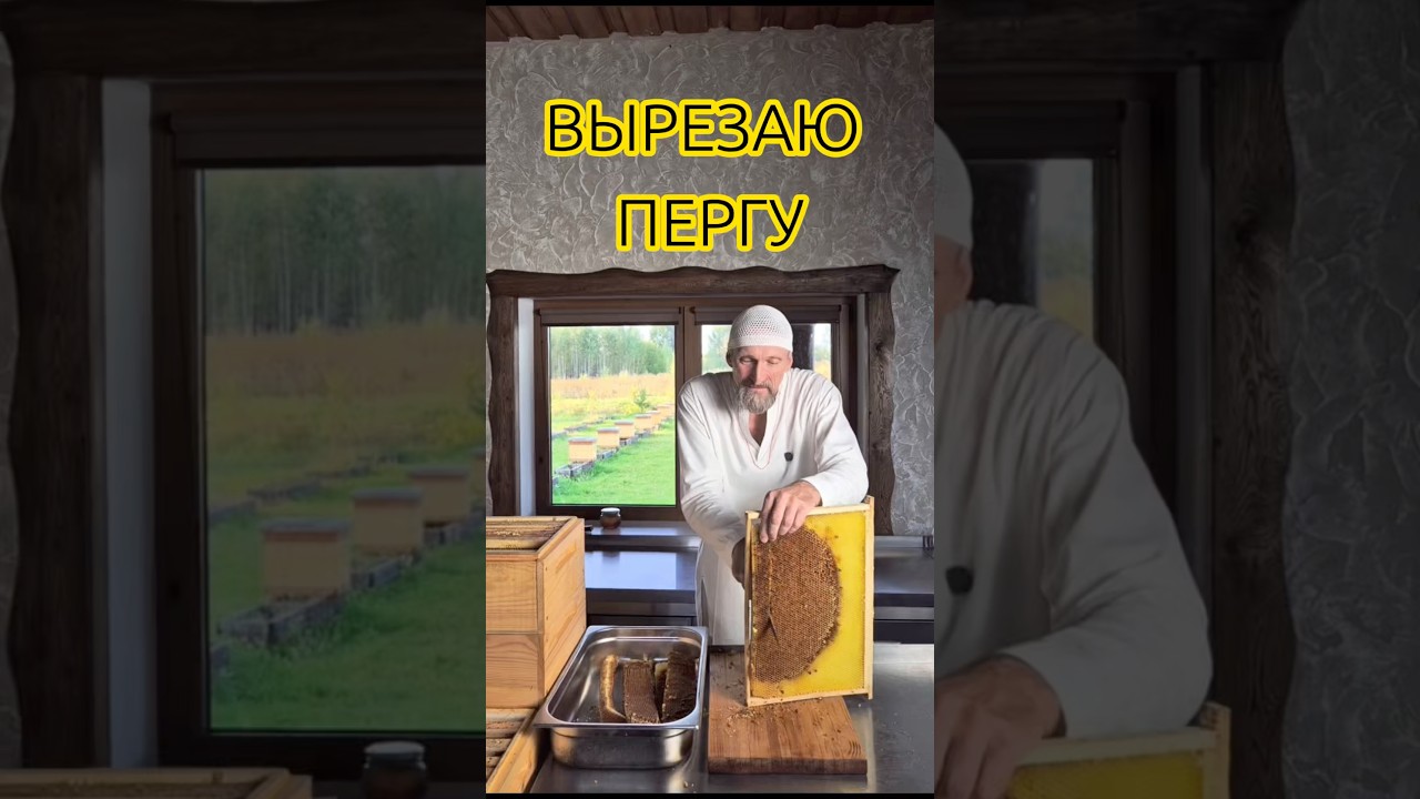 ПЕРГА &ndash; ЭТО НЕ ПРОСТО СОТЫ ВЫРЕЗАТЬ #пчелопродуктыдмитровых #буднипчеловода