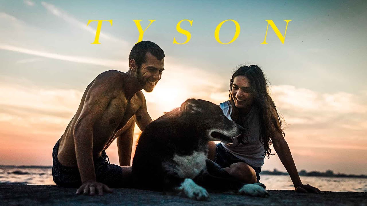 The dog that changed our life | Short Film (SONY A7siii)