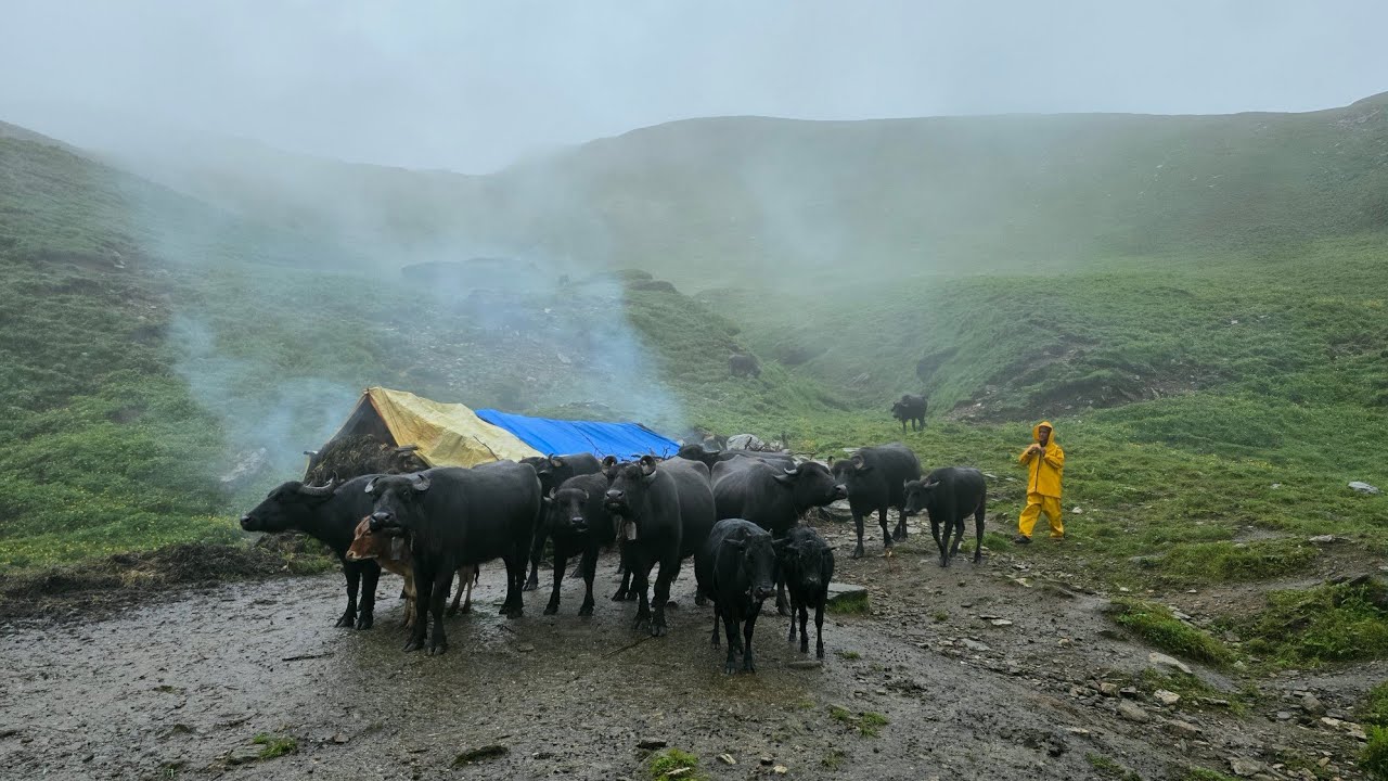 Nepali Mountain Village Life in Heavy Rain Season | Most Peaceful And Relaxing Village Lifestyle 