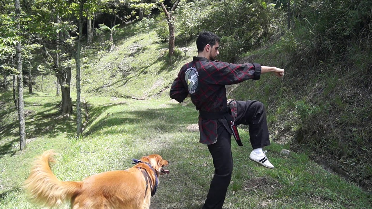 HAPKIDO MEDELLÍN COLOMBIA ( Tae Guk #2)