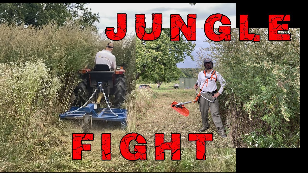 🚜 Husqvarna 555 RXT Yanmar F235 dzsungelharc a dióbirtokon