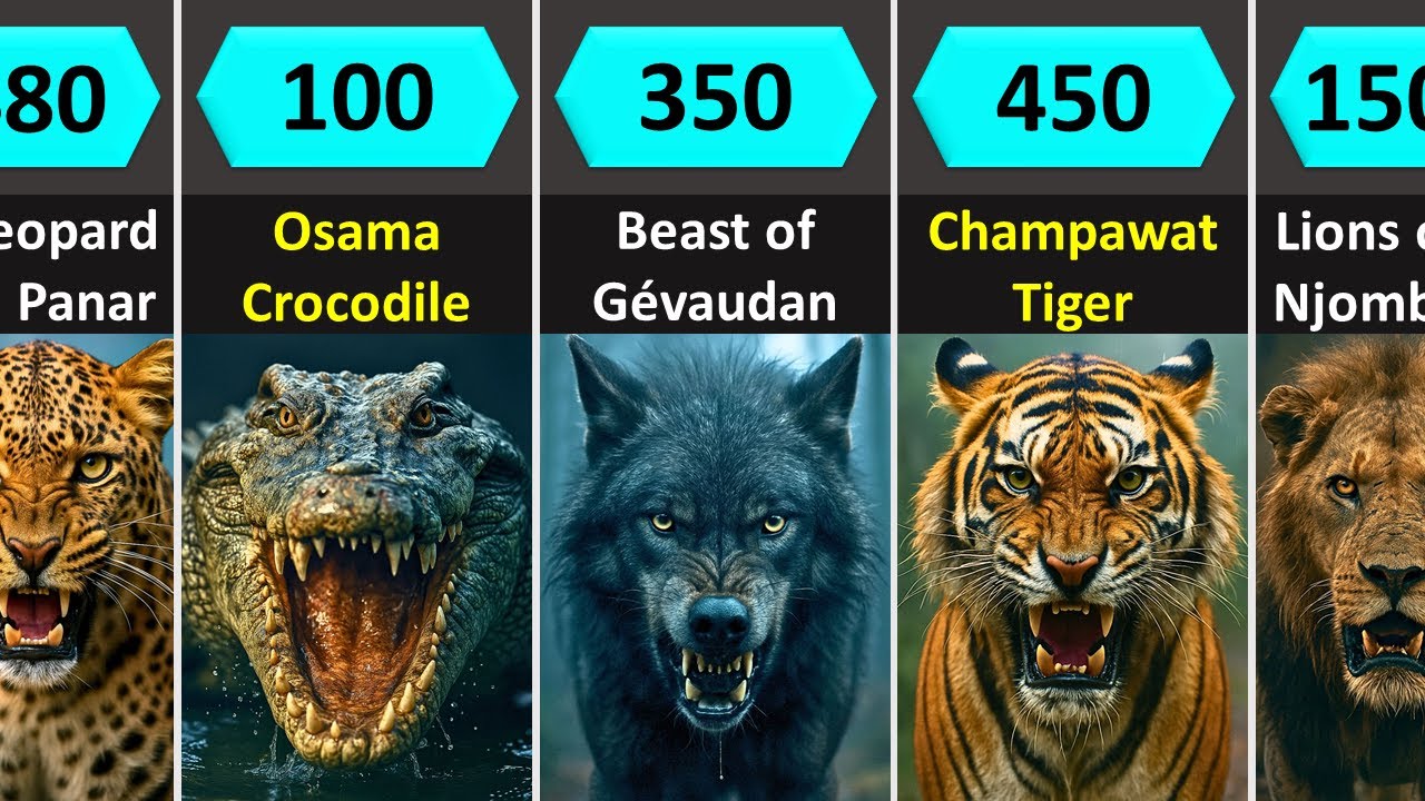 Deadliest Man-Eaters in History (Animals That Hunted Humans)