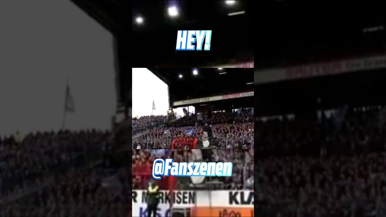 Dietmar Hopp Wir Schei&szlig;en Auf dein Geld! | KSC #ultras #football #shortsfeed #shorts #viralshorts
