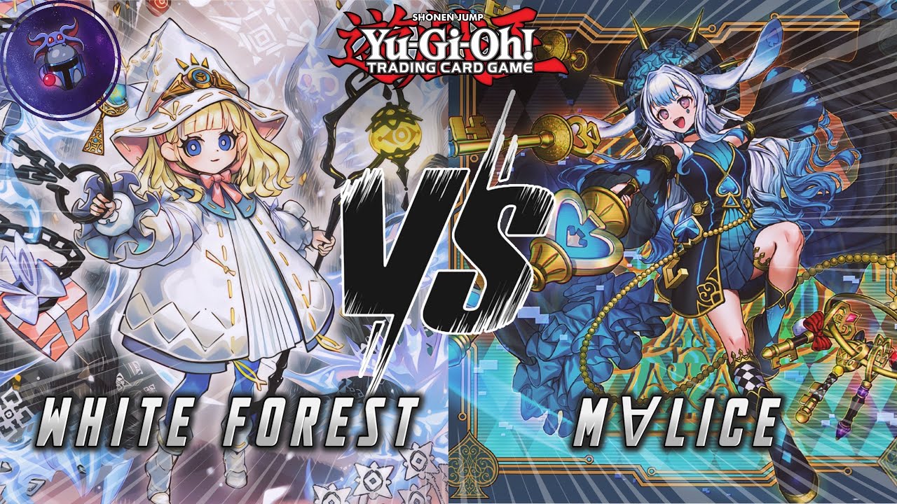 Yu-Gi-Oh! White Forest VS Maliss | Locals Matchup | July 2025 | New Format!!!