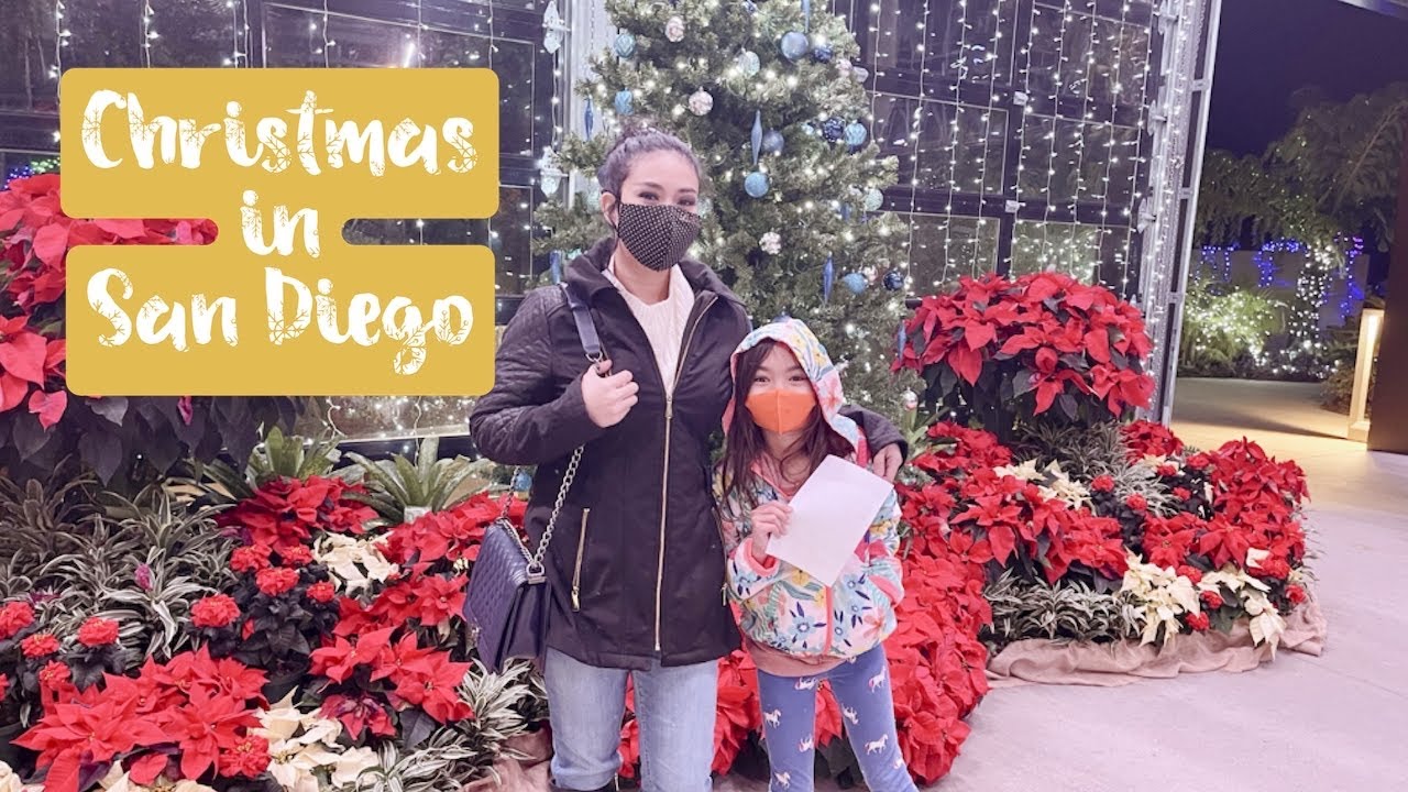 BOTANIC WONDERLAND | GARDEN OF LIGHTS ENCINITAS, SAN DIEGO (Vlogmas Day 16)