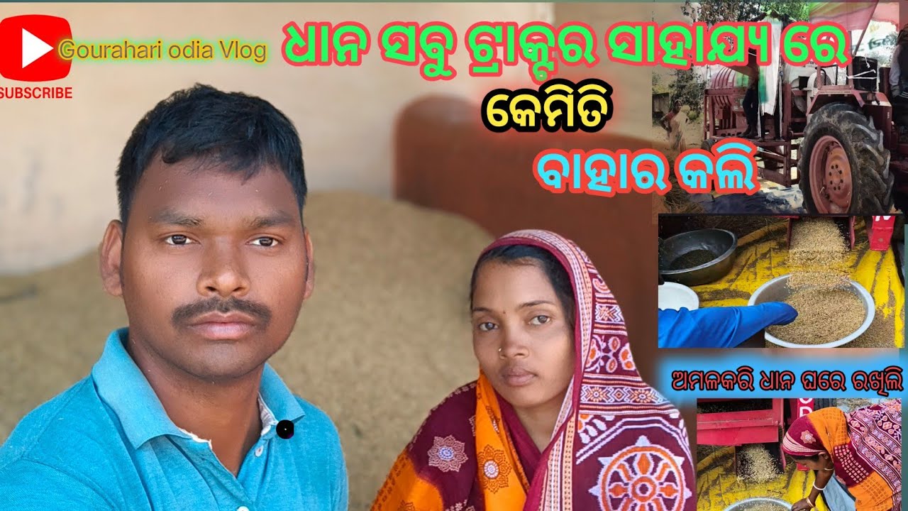 ଟ୍ରାକ୍ଟର ସାହାଯ୍ୟ ରେ ଧାନ ସବୁ ମଡ଼େଇଲି କେମିତି || Gourahari odia vlog 