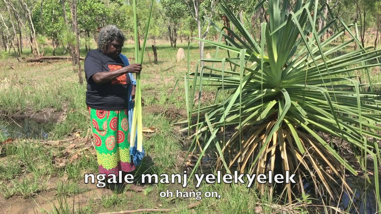 Kamanj gets Pandanus fiber