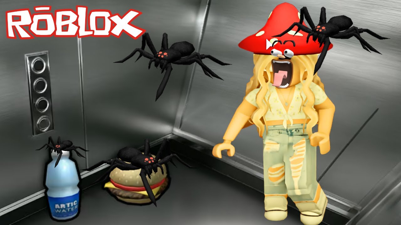 i SURVIVED the ROBLOX ELEVATOR!