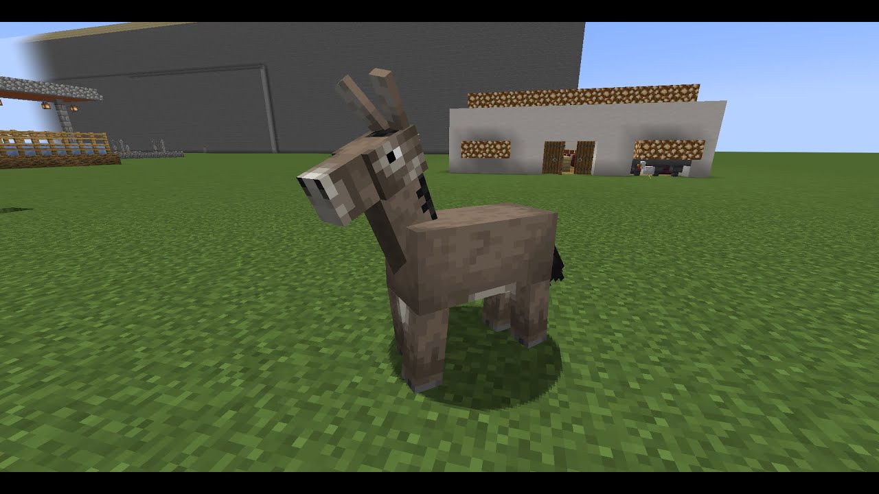 Sound of a minecraft Donkey die - 1 hour