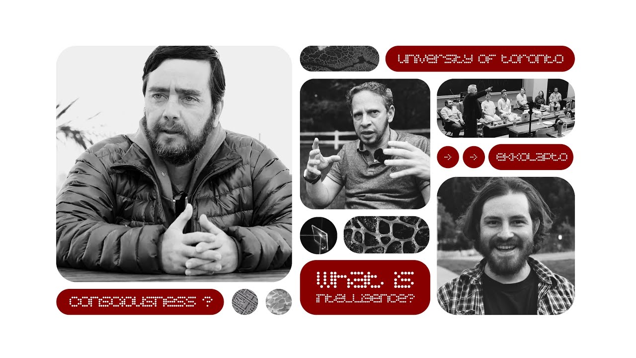 Binding, Minds & the Platonic Realm: Michael Levin, Andres Gomez Emilsson & Elan Barenholtz