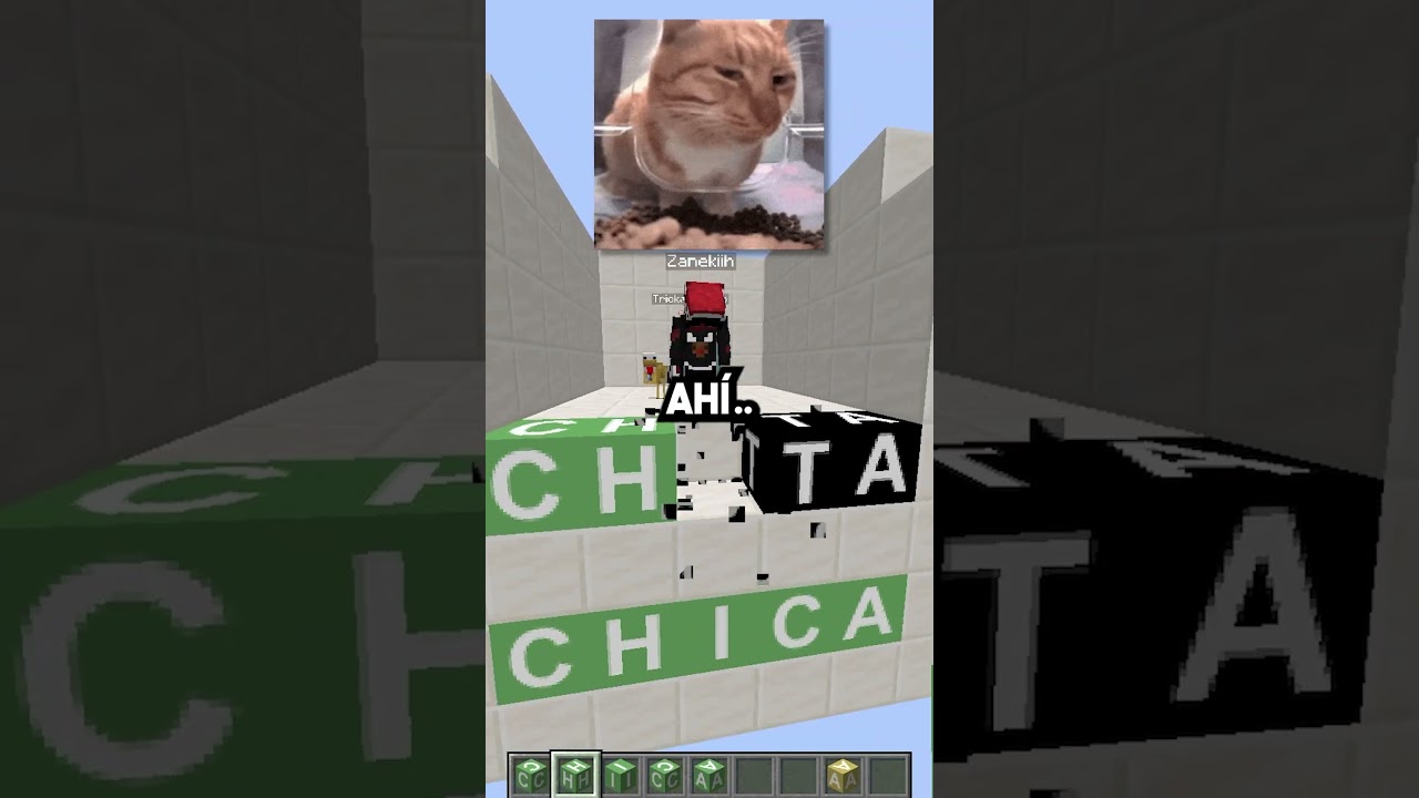 Toy Chica es la única animatronico que lleva ropa la cual es.. 🤫 