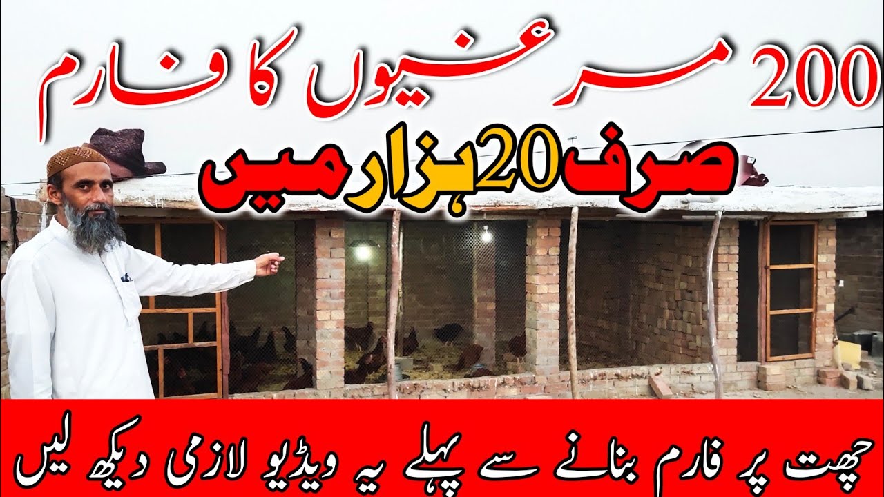 Small Poultry Farm at roof In only 20 Hazar in 2021