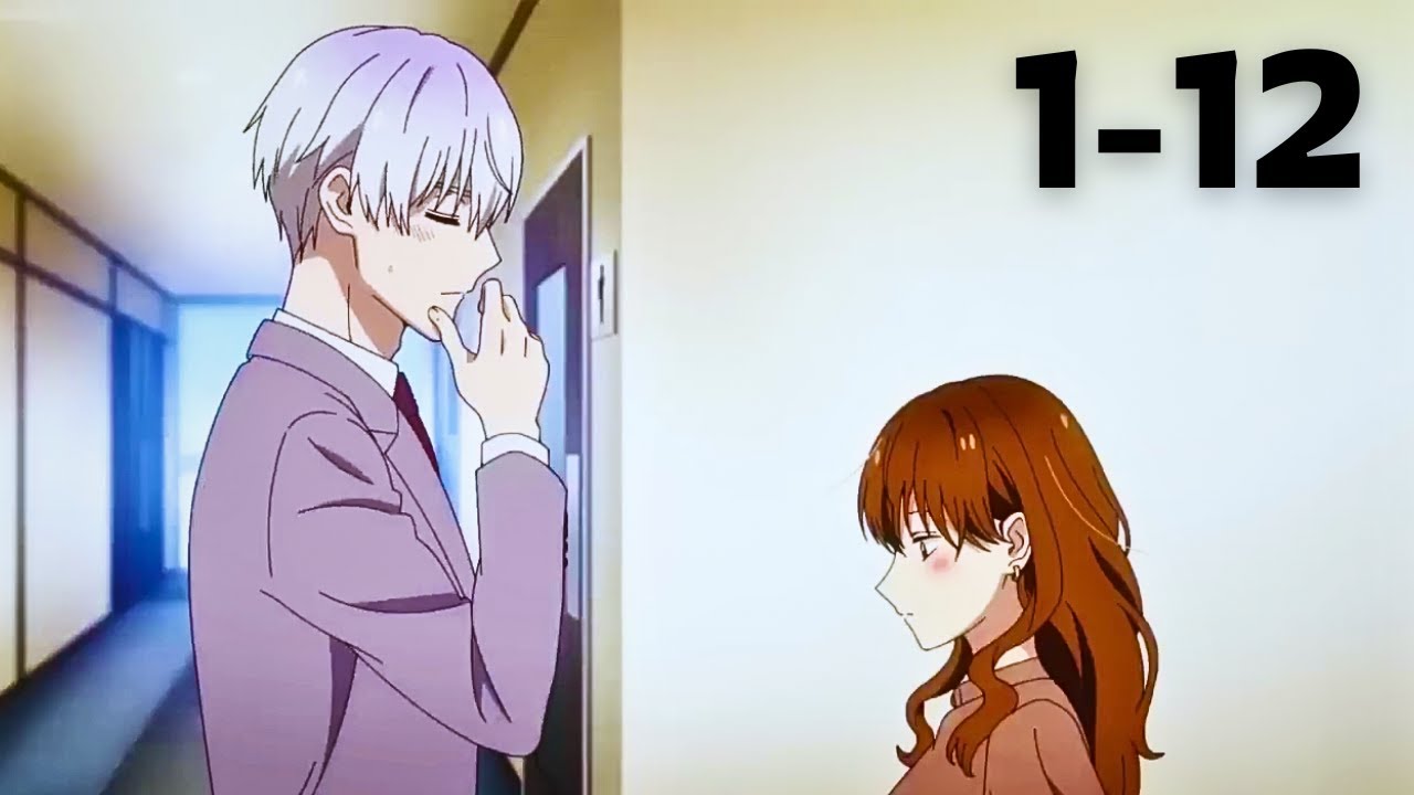 New romance  anime episode 1 to 12 [English Dub]-only dub & sub