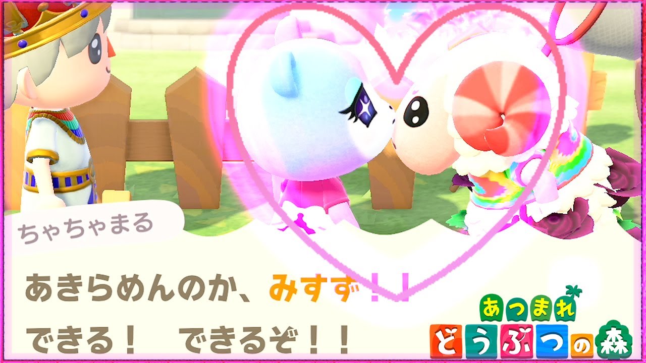 【あつ森】ちゃちゃまるがみすずに！？猛烈アタックされるも・・・／Dom attack on judy【あつまれどうぶつの森】