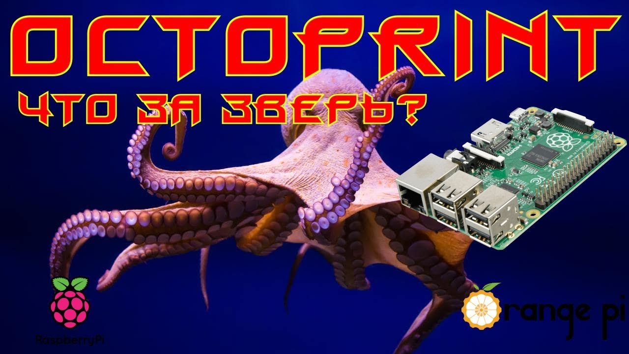✅35. Что такое OCTOPRINT и на сколько он вкусный