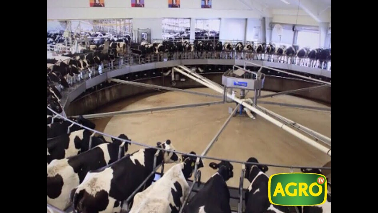 Leche, electricidad y combustible a partir de un tambo en Estados Unidos.  (#565 2014-05-31)