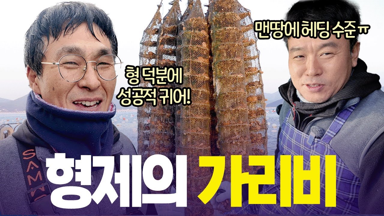 “서로 덕에 버텨요” 🌊 하나부터 열 까지 직접 일궈낸 가리비 어장 [6시 내고향] | KBS 260126 방송