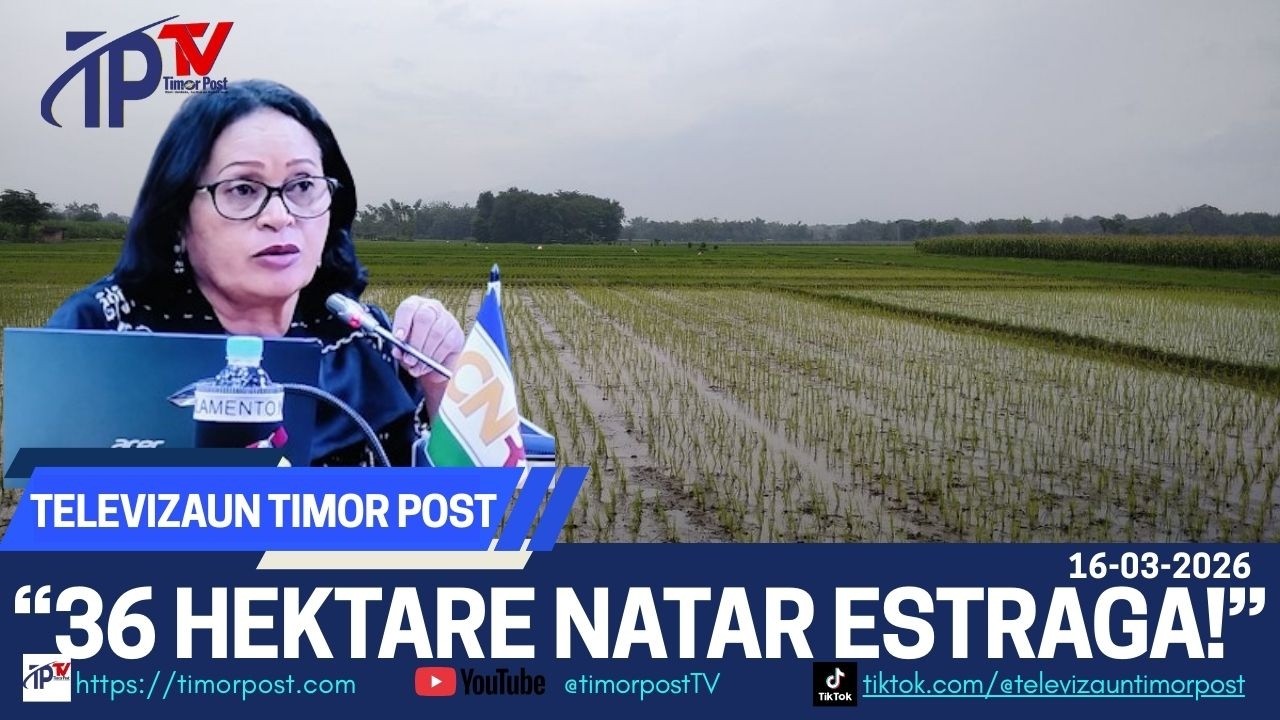 NATAR EKTARE 36 IHA KAILAKU HETAN ESTRAGU